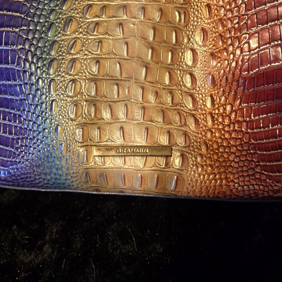 Brahmin Multicolor Crocodile Embossed Crossbody Bag - Picture 5 of 5